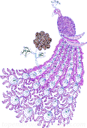 Peacock sequin rope embroidery