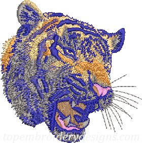 Tiger head