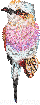 bird