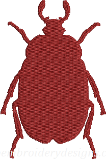 insect