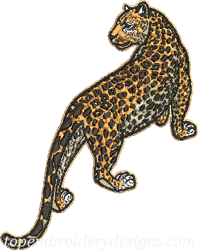 Leopard