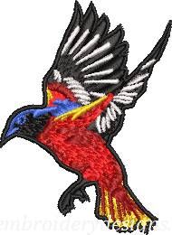 bird