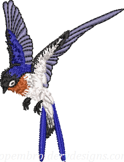 bird