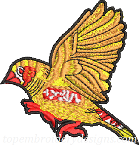 bird