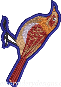 bird