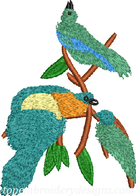 bird