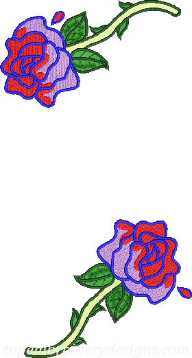 roses