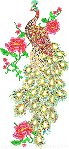 Peacock