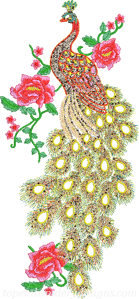 Peacock