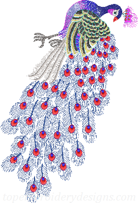 Peacock