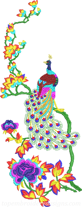 Peacock