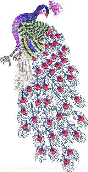 Peacock