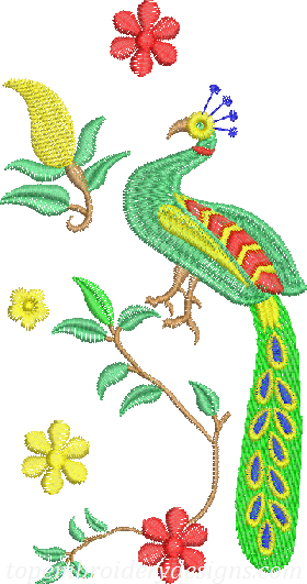 Peacock