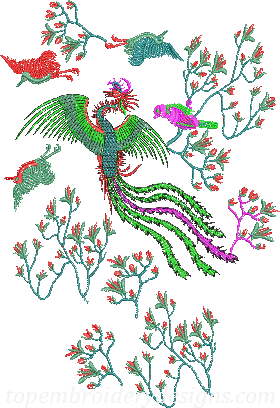 Peacock