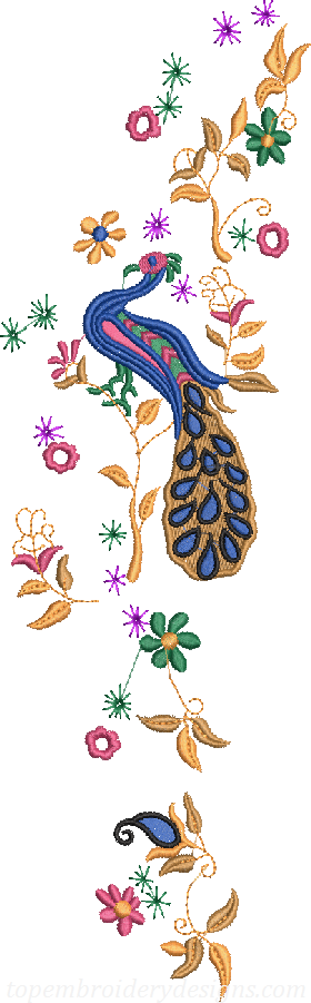 Peacock