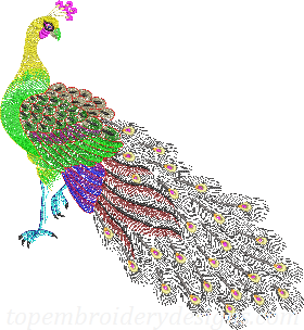 Peacock