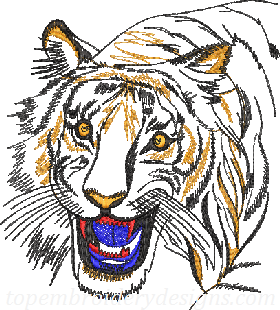 tiger head