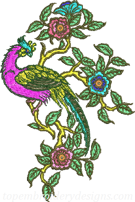 Peacock