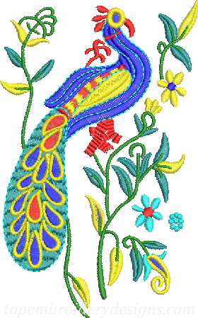 Peacock