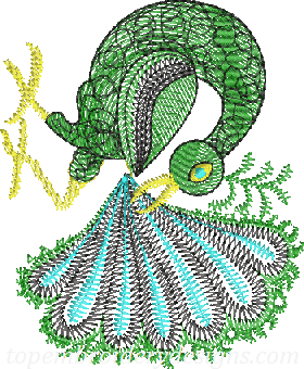 Peacock