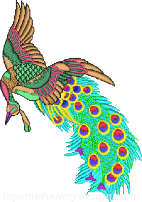 Peacock