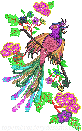 Peacock