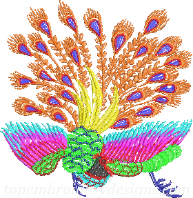 Peacock