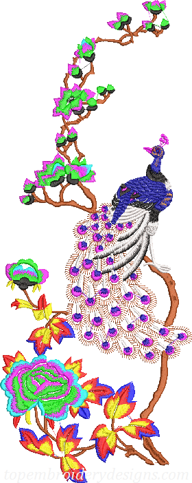 Peacock