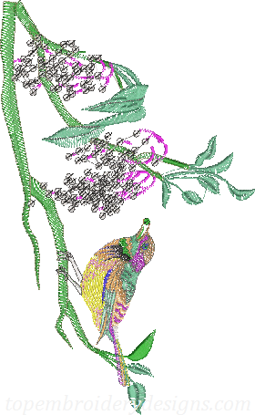 bird