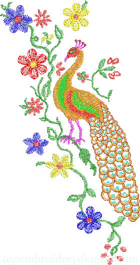 Peacock