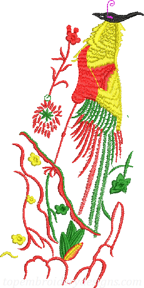 bird