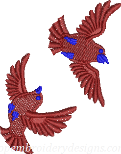 bird