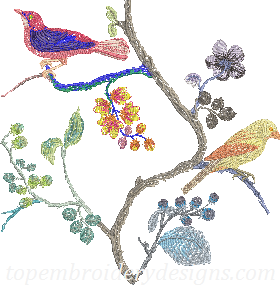 bird