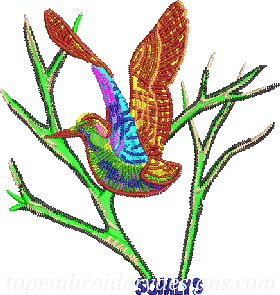 bird
