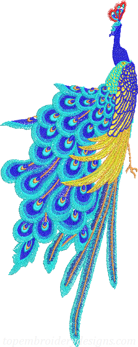 Peacock