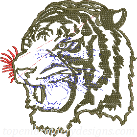 tiger head