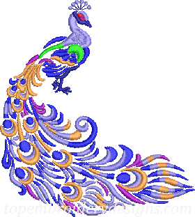 Peacock