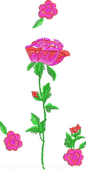 roses