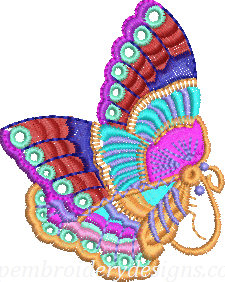 Butterfly