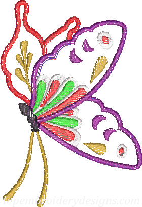 Butterfly